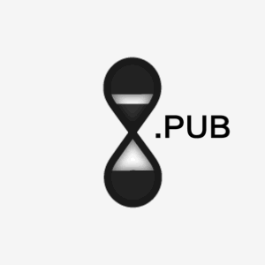 8.pub 注册局只释放了三个单数