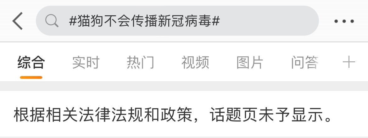 中国速度