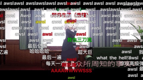 aw.sl 可出