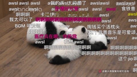 aw.sl 可出