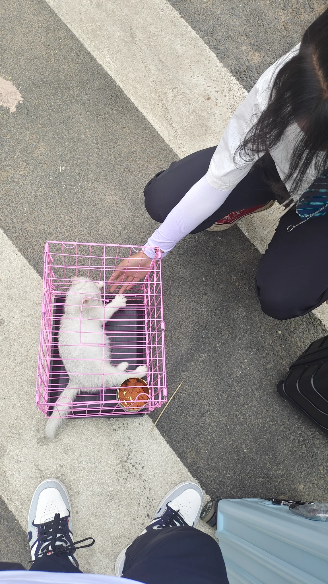 回家咯