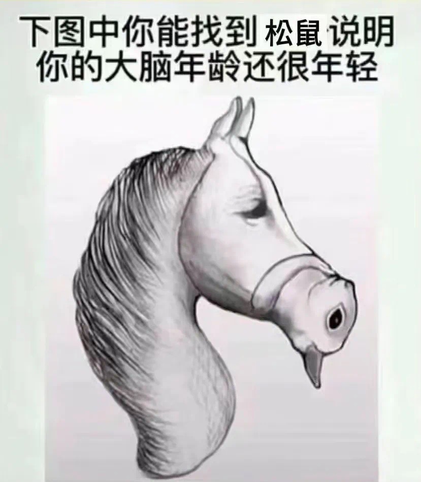 你大脑还年轻吗？