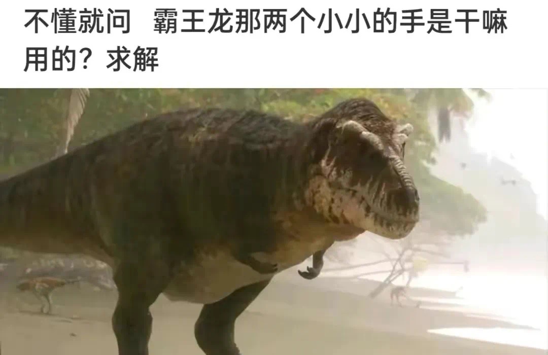不懂就问...