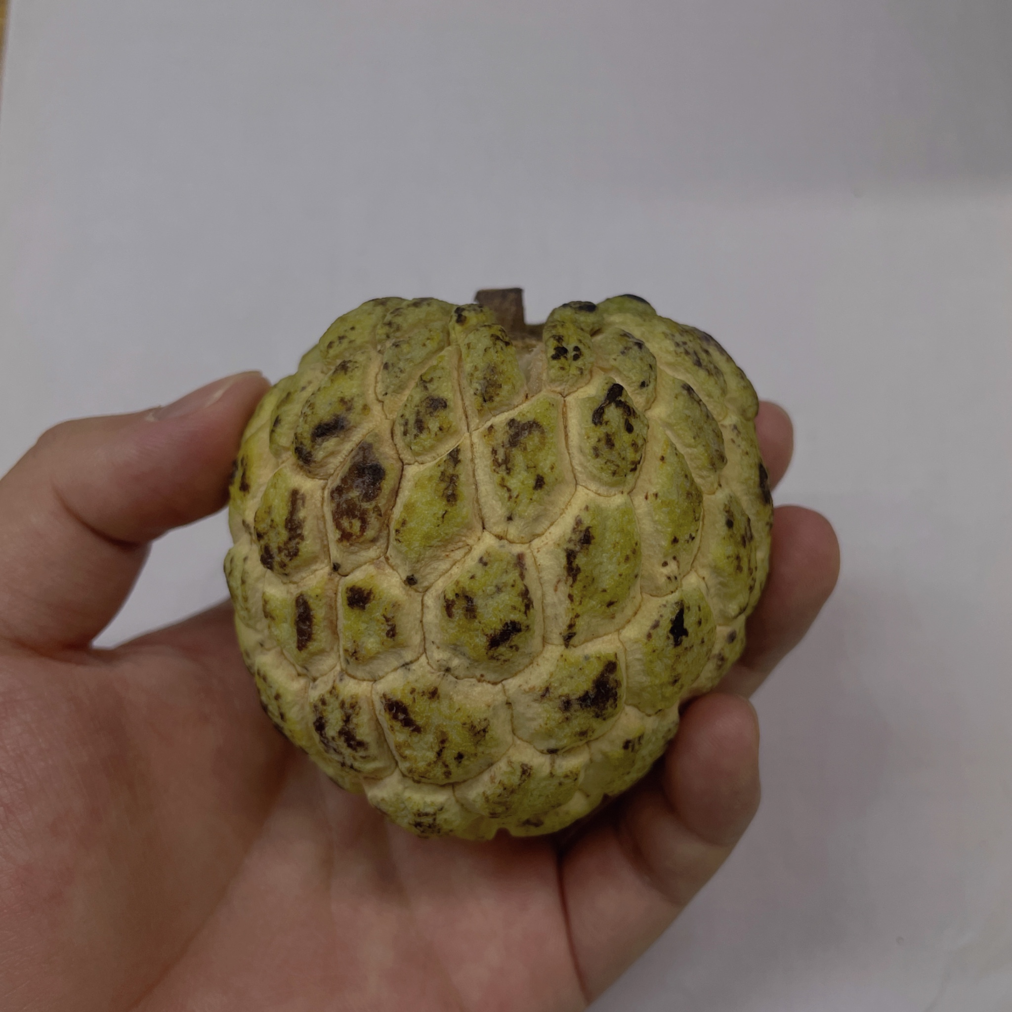 第一次吃 会不会吃了硬邦邦啊