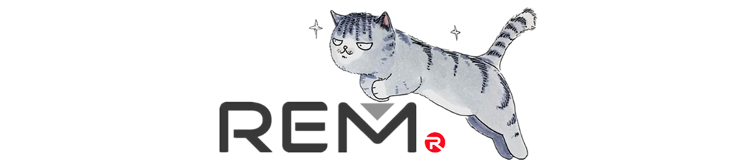 今天Rem.cc特价只要688元