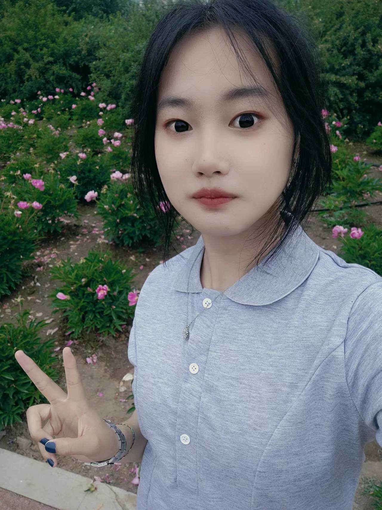 呆哥说我照片没了，八嘎