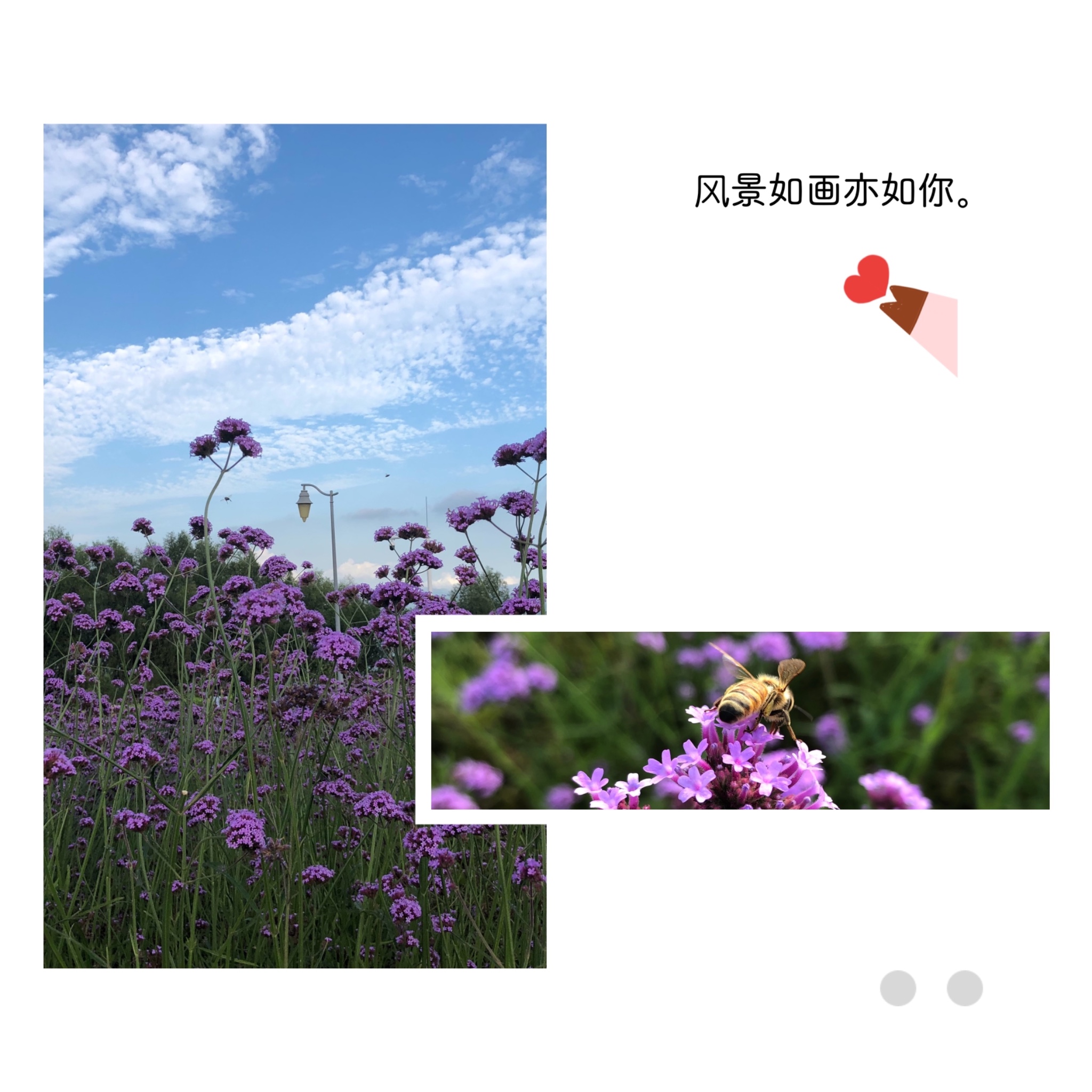 今天除草了