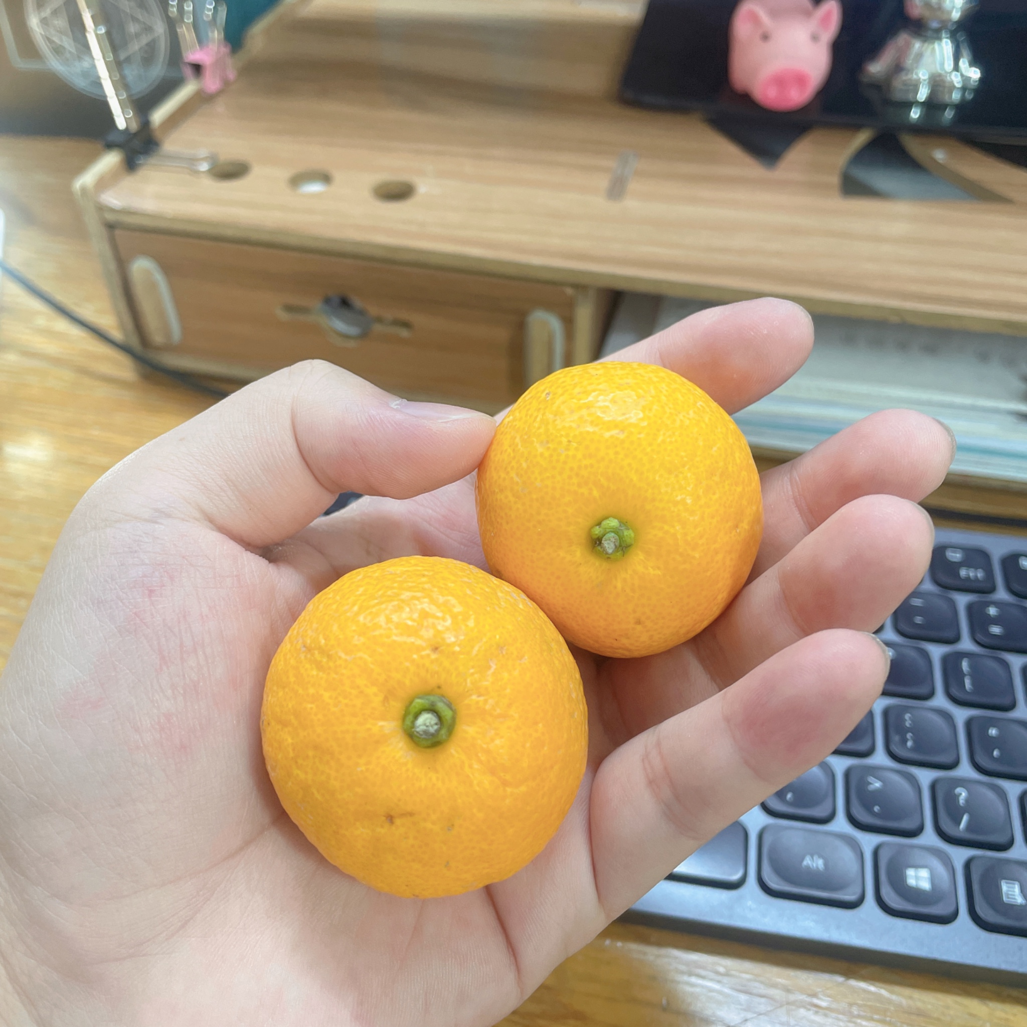 秋天的第一个砂糖橘