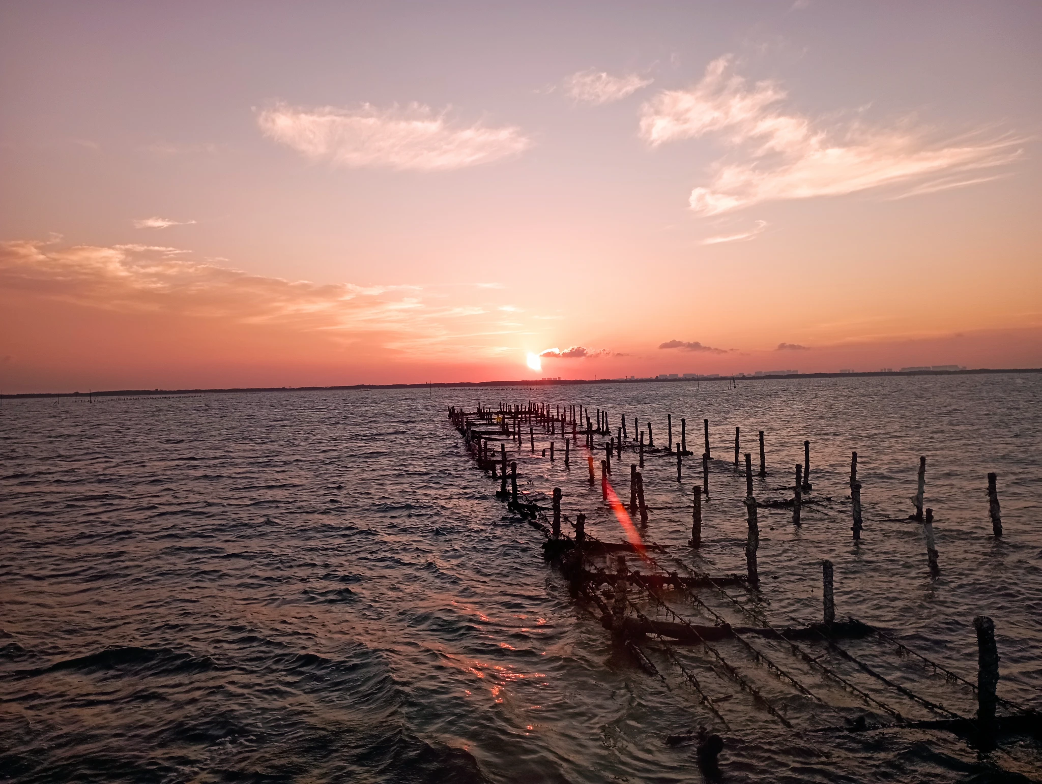 来看夕阳