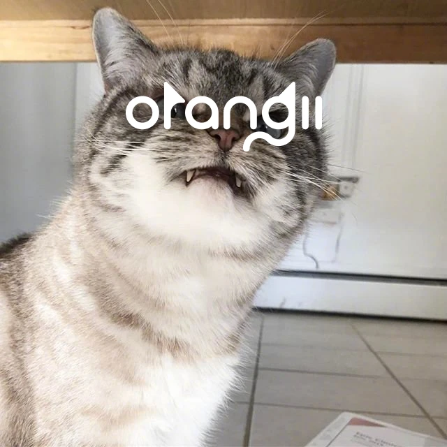 【orangii】LOGO展示