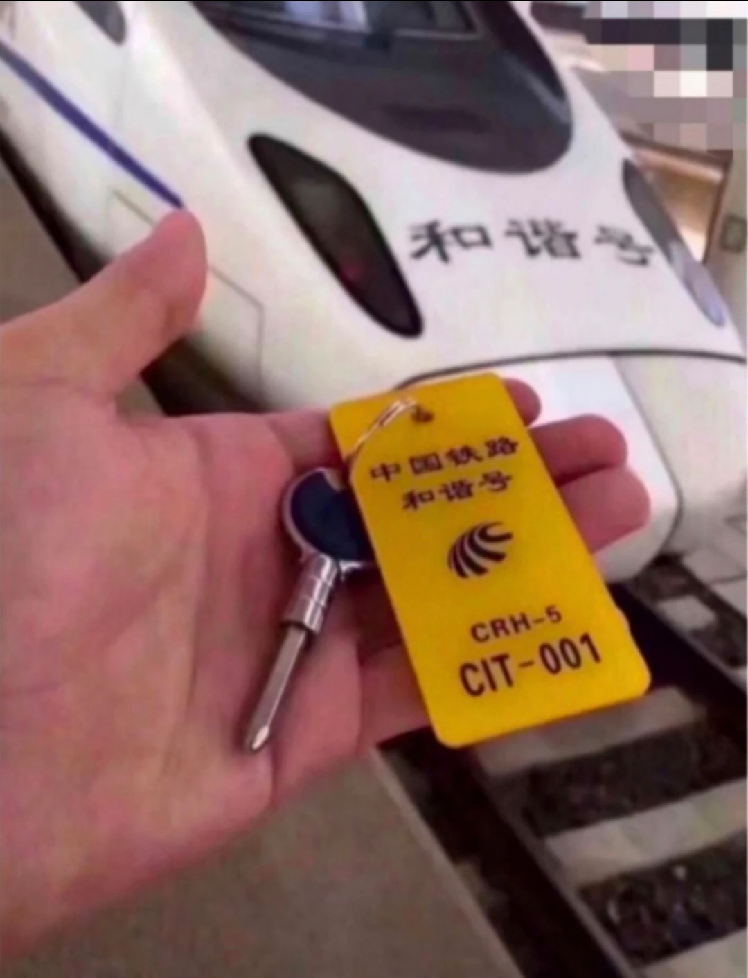 收个单字符价格预算一个达不溜