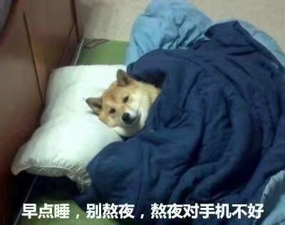 背灯和月就花阴，已是十年踪迹十年心。