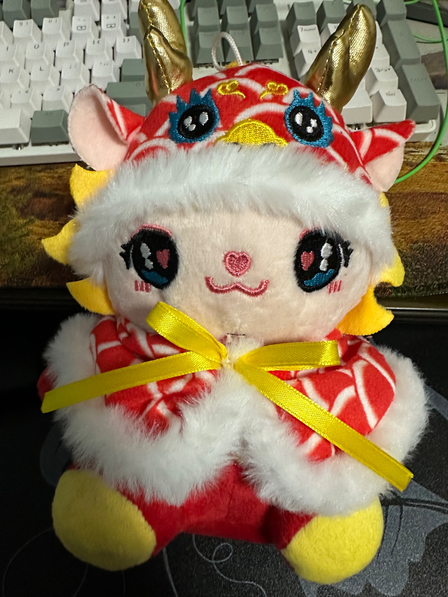 小神龙收到了😁