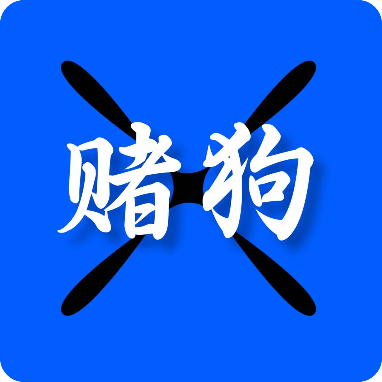 出个双拼.net