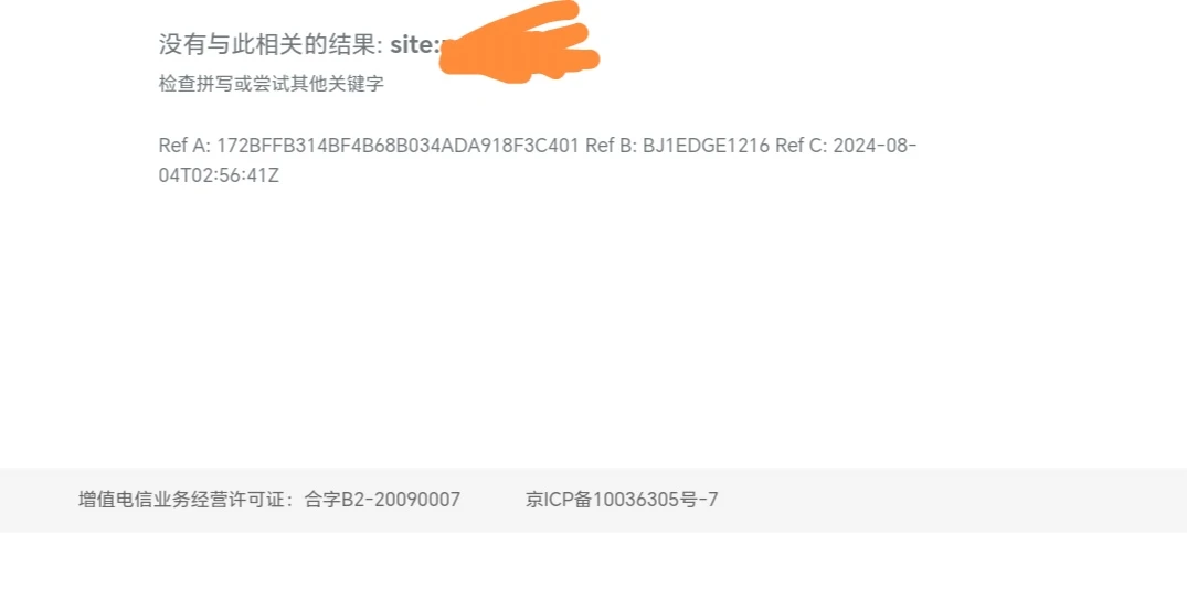 网站在bing.com的收据出错了，求解。