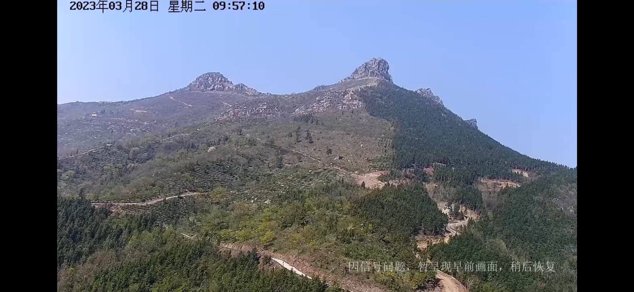 喜欢打野战的注意了，不小心就被全网直播了👀