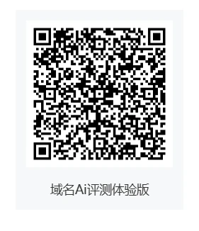 最近整了一个域名Ai评估