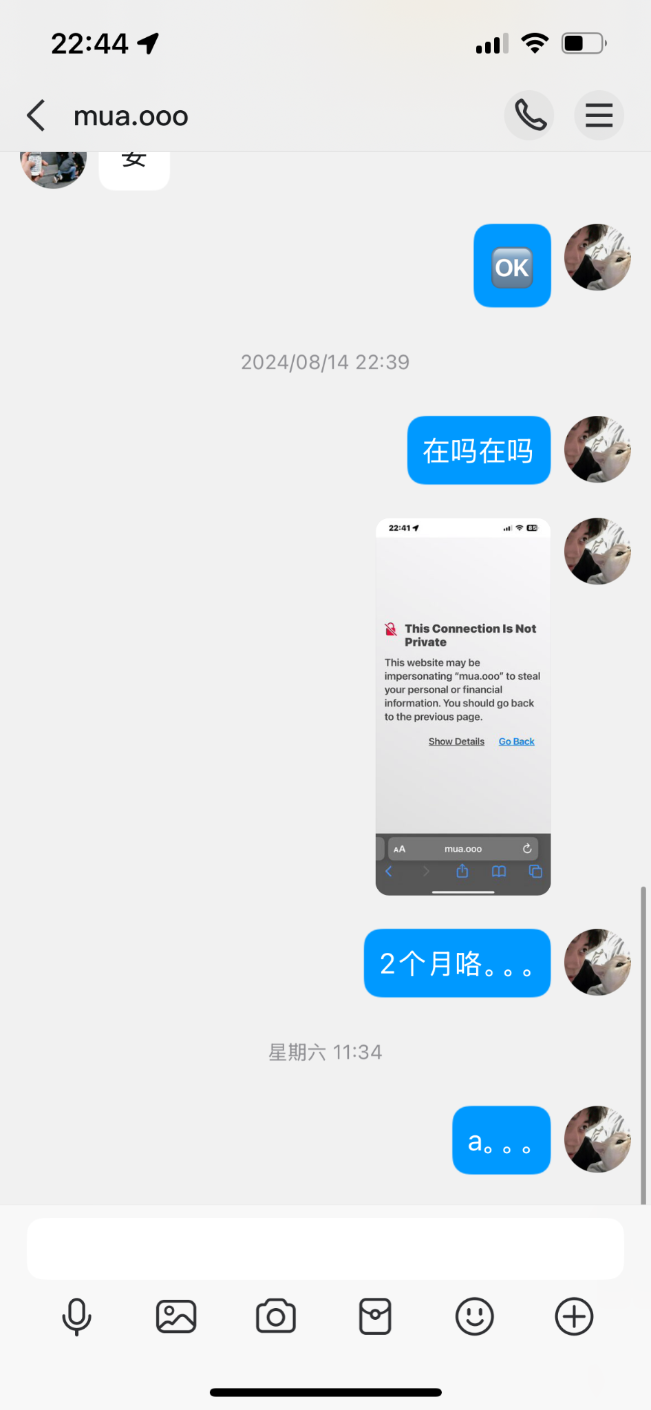 又为情怀买单了