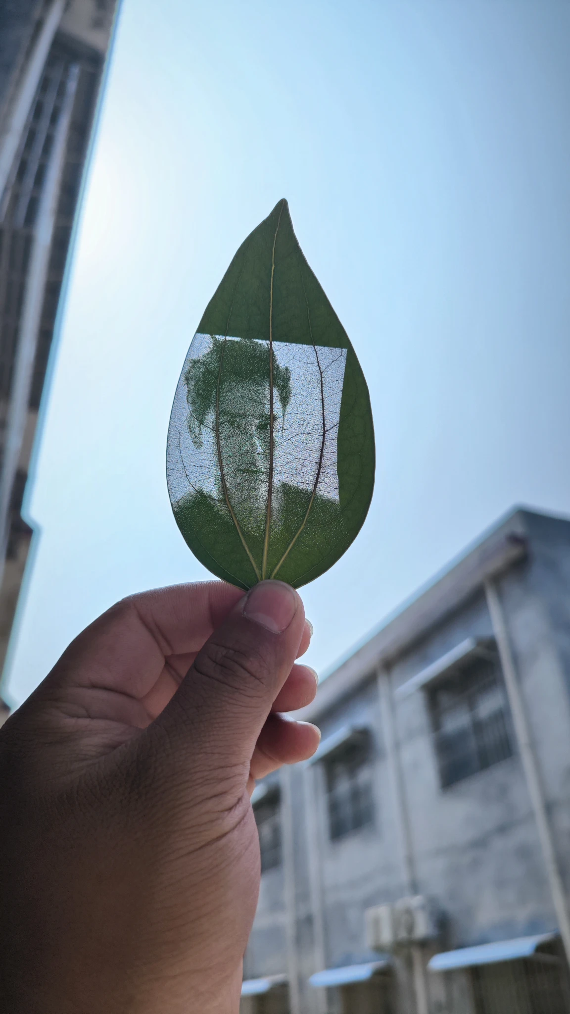 对不起。侵犯了各位的肖像权