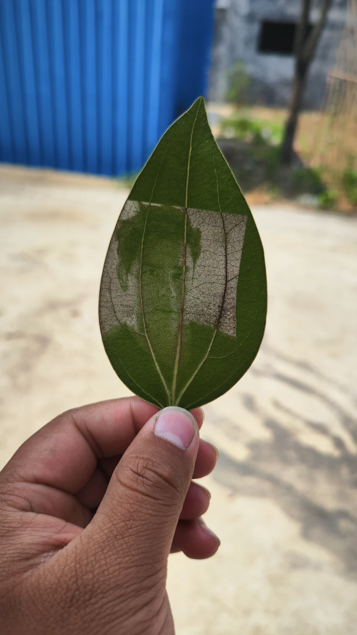 对不起。侵犯了各位的肖像权