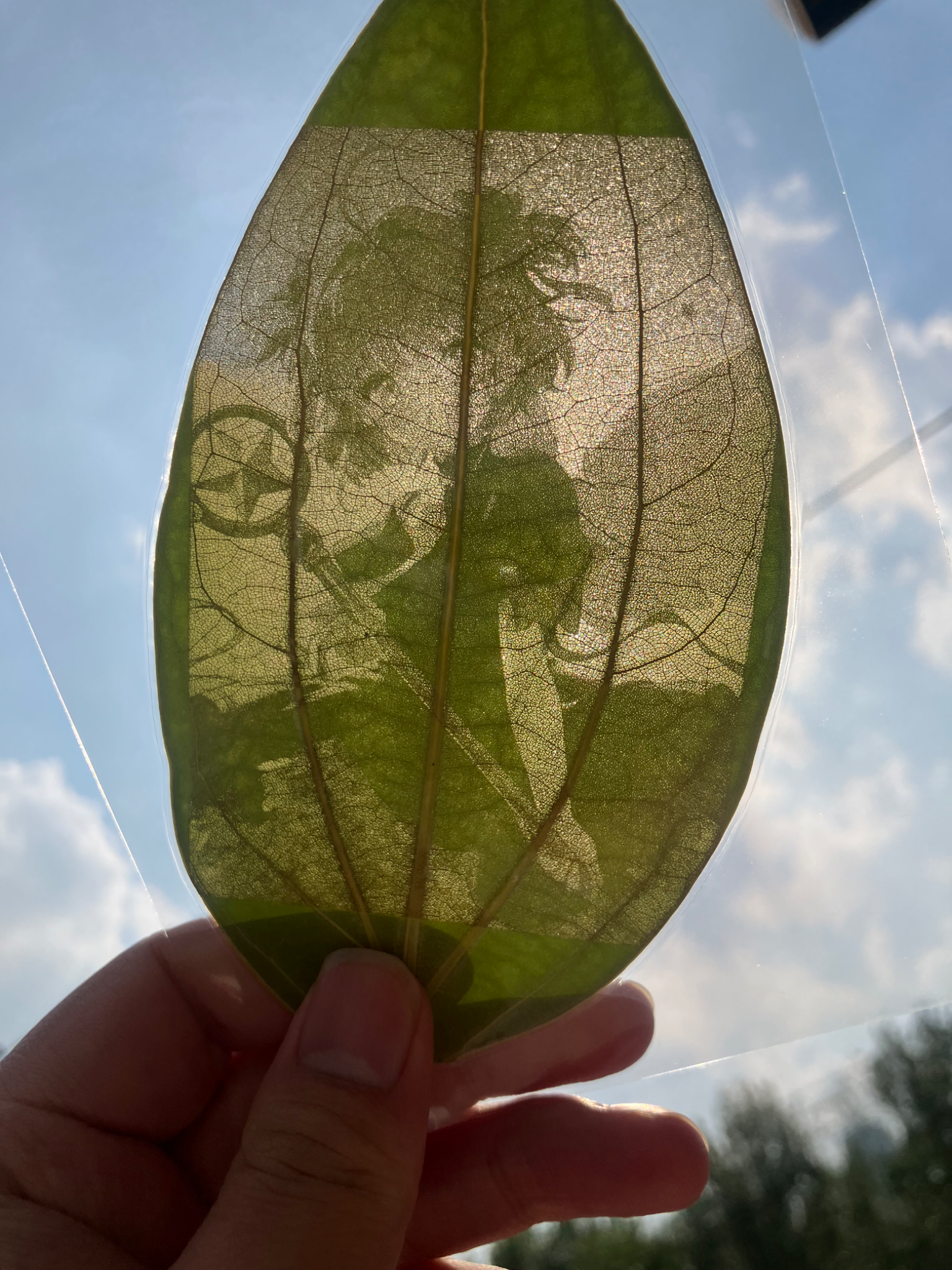 昨天到货了了个小激光雕刻机