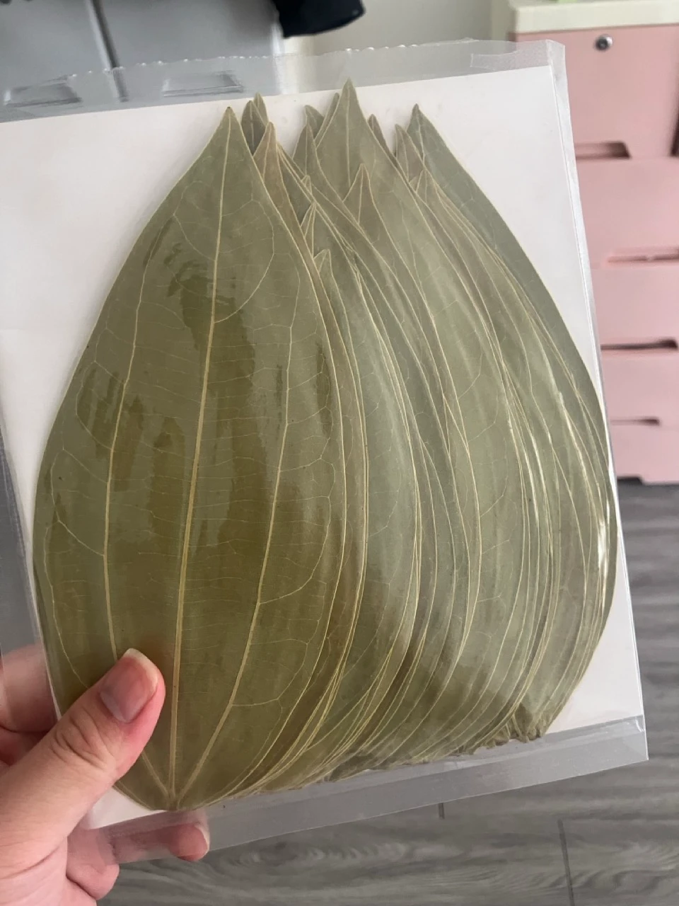 【泽泽叶雕】新买的树叶来了果然便宜没好货