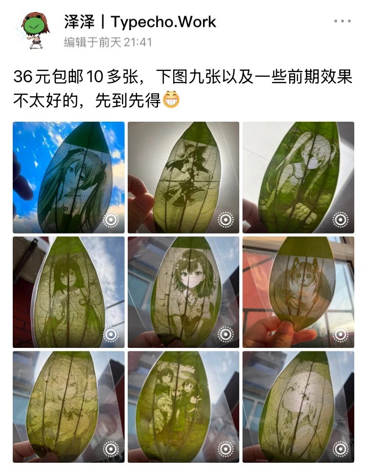 【泽泽叶雕】新买的树叶来了果然便宜没好货
