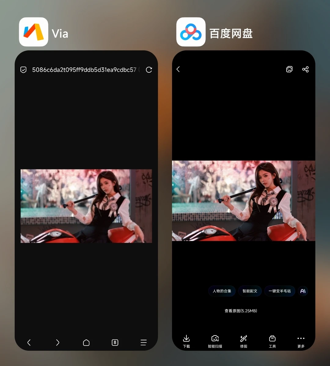 通过百度网盘来外链图片到网站
