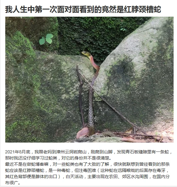 有喜欢研究蛇蛇的坛友吗？