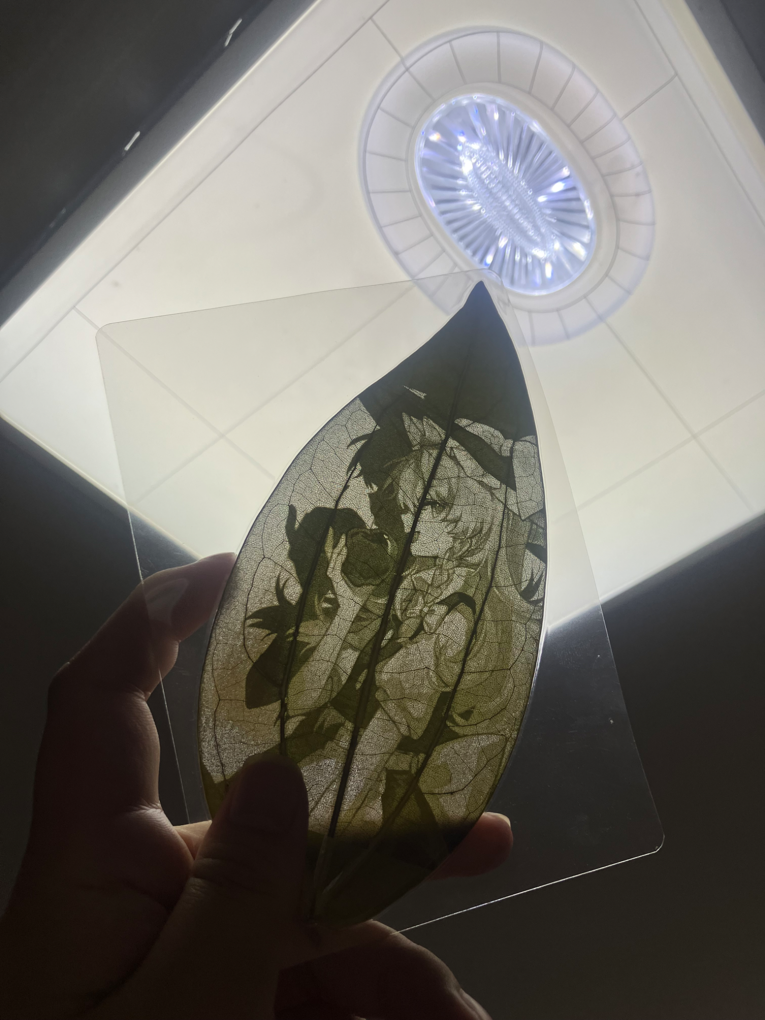 泽泽叶雕终于迎来第四单了