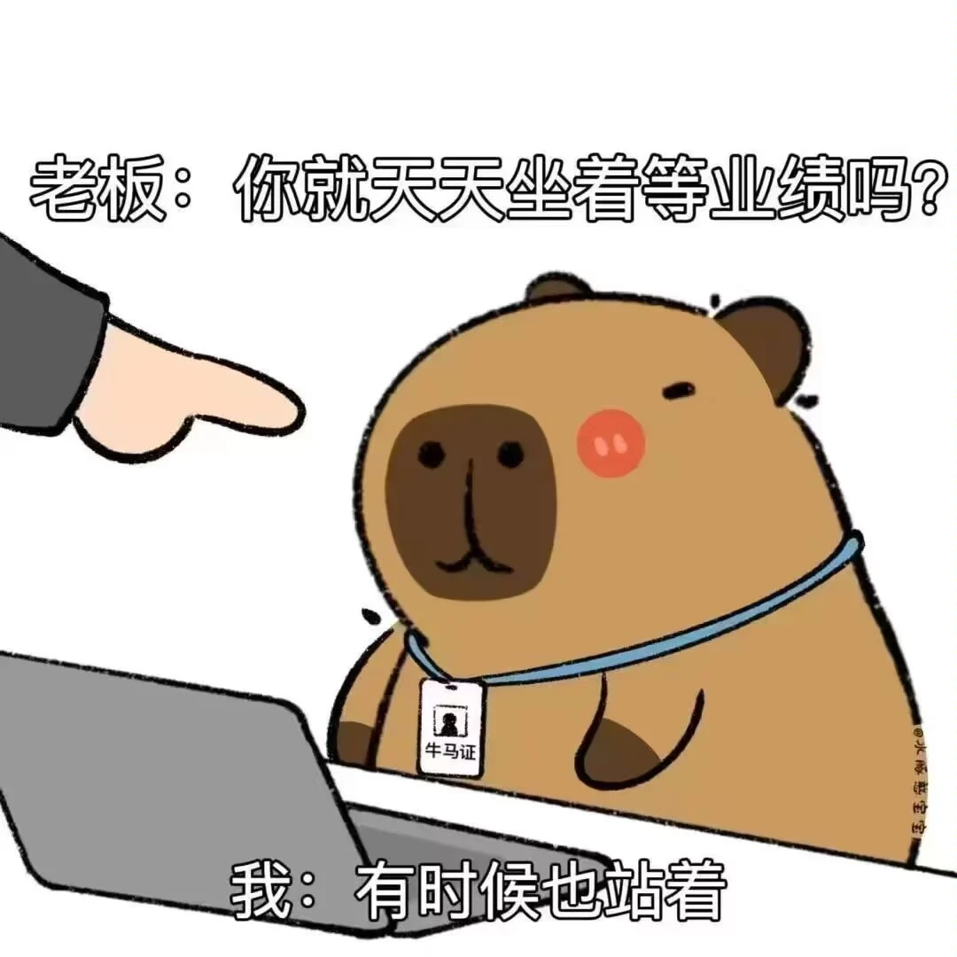 来都来了~