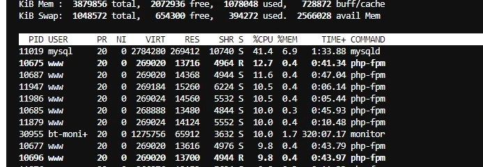 大佬们帮忙看看4G4H 100ip Cpu满了。。