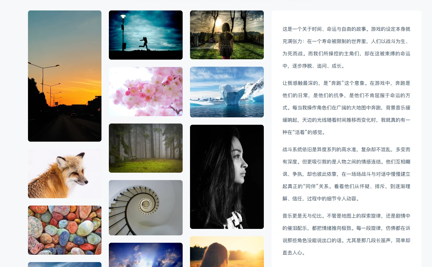 🌷【主题介绍】Typecho综合型主题——Tulip的文章内页功能