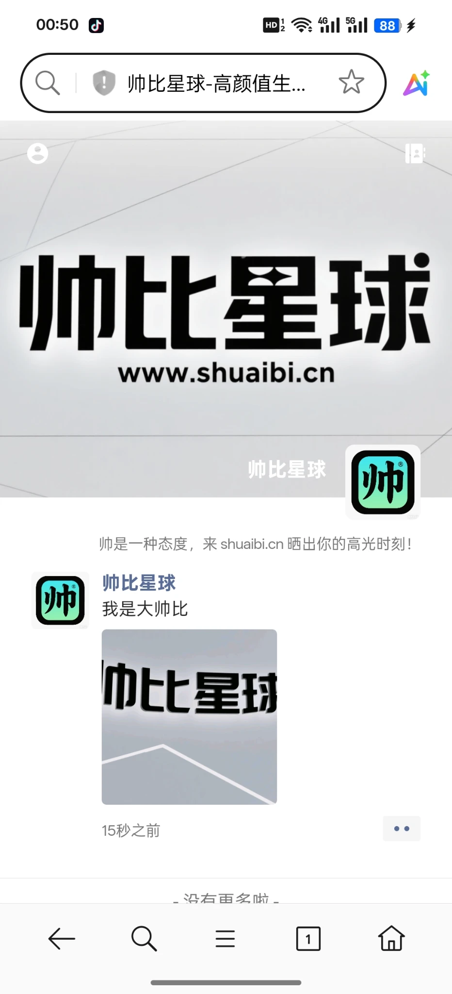 帅比shuaibi.cn闲置做站起来