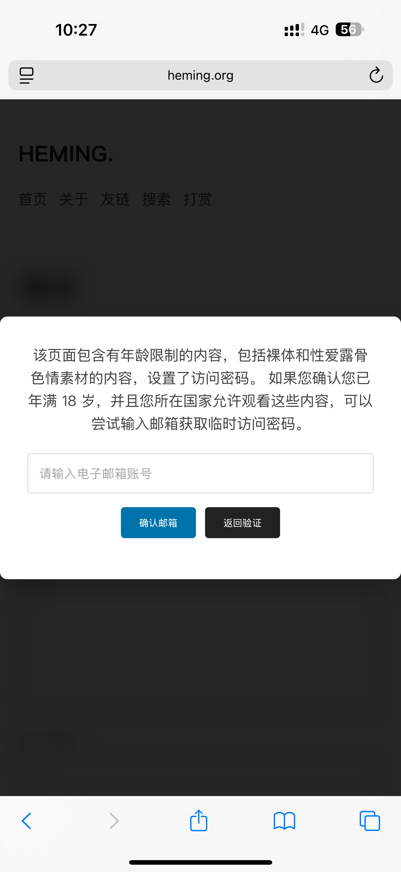 博客发一些 成年人东西，弹窗提示，输入密码，获取临时密码 WP 插件
