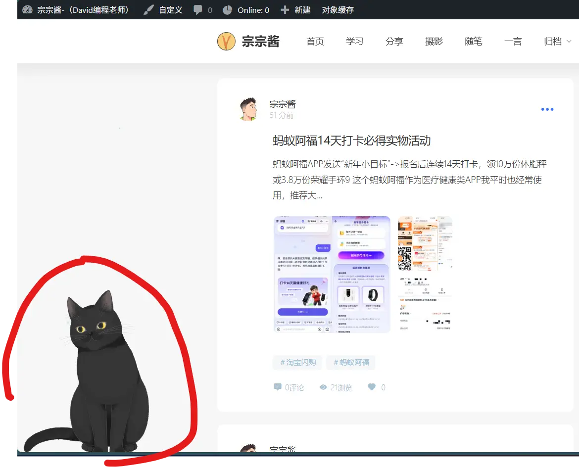 大家能看到这只猫吗？